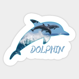 Dolphin Day Sticker